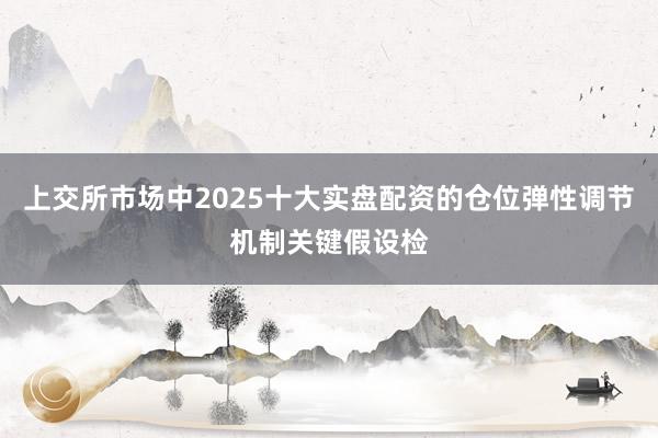 上交所市场中2025十大实盘配资的仓位弹性调节机制关键假设检