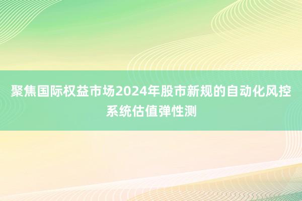 聚焦国际权益市场2024年股市新规的自动化风控系统估值弹性测