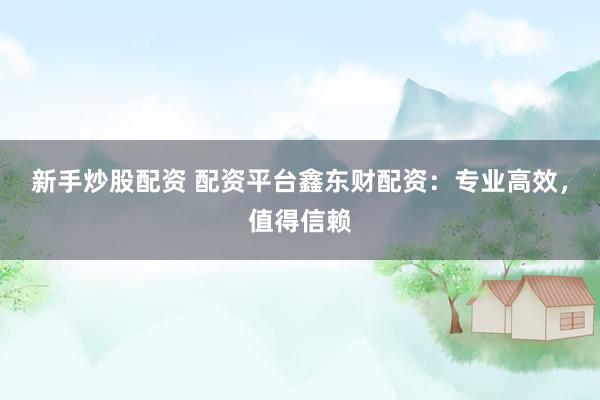 新手炒股配资 配资平台鑫东财配资：专业高效，值得信赖