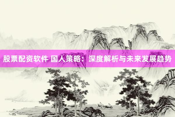 股票配资软件 国人策略：深度解析与未来发展趋势