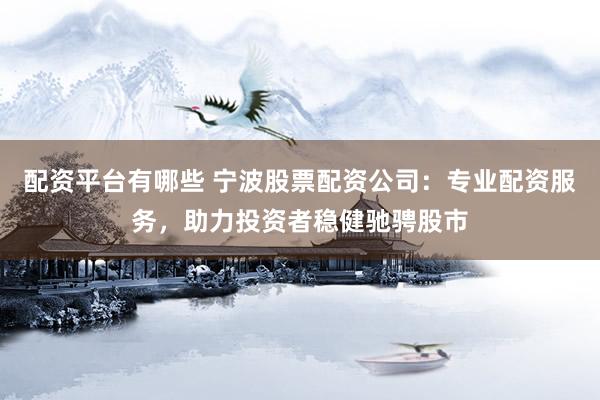 配资平台有哪些 宁波股票配资公司：专业配资服务，助力投资者稳健驰骋股市