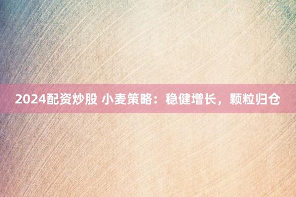 2024配资炒股 小麦策略：稳健增长，颗粒归仓