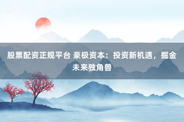 股票配资正规平台 豪极资本：投资新机遇，掘金未来独角兽